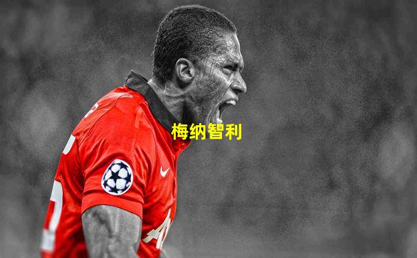 梅纳智利