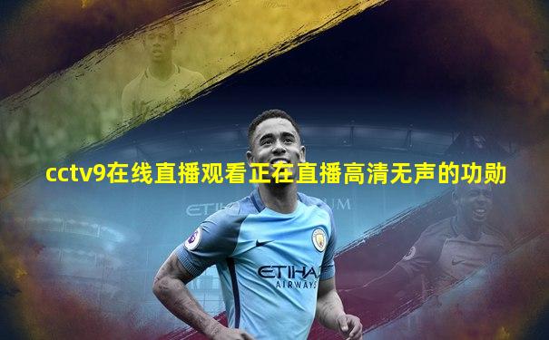 cctv9在线直播观看正在直播高清无声的功勋
