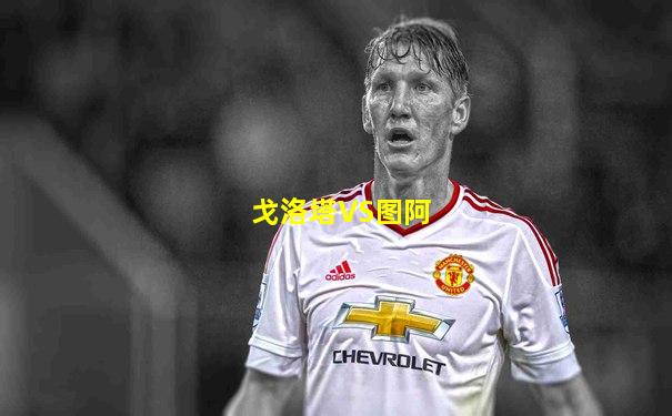 戈洛塔VS图阿